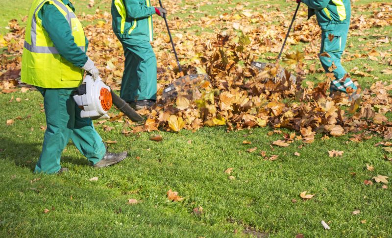 Leaves Being Collected